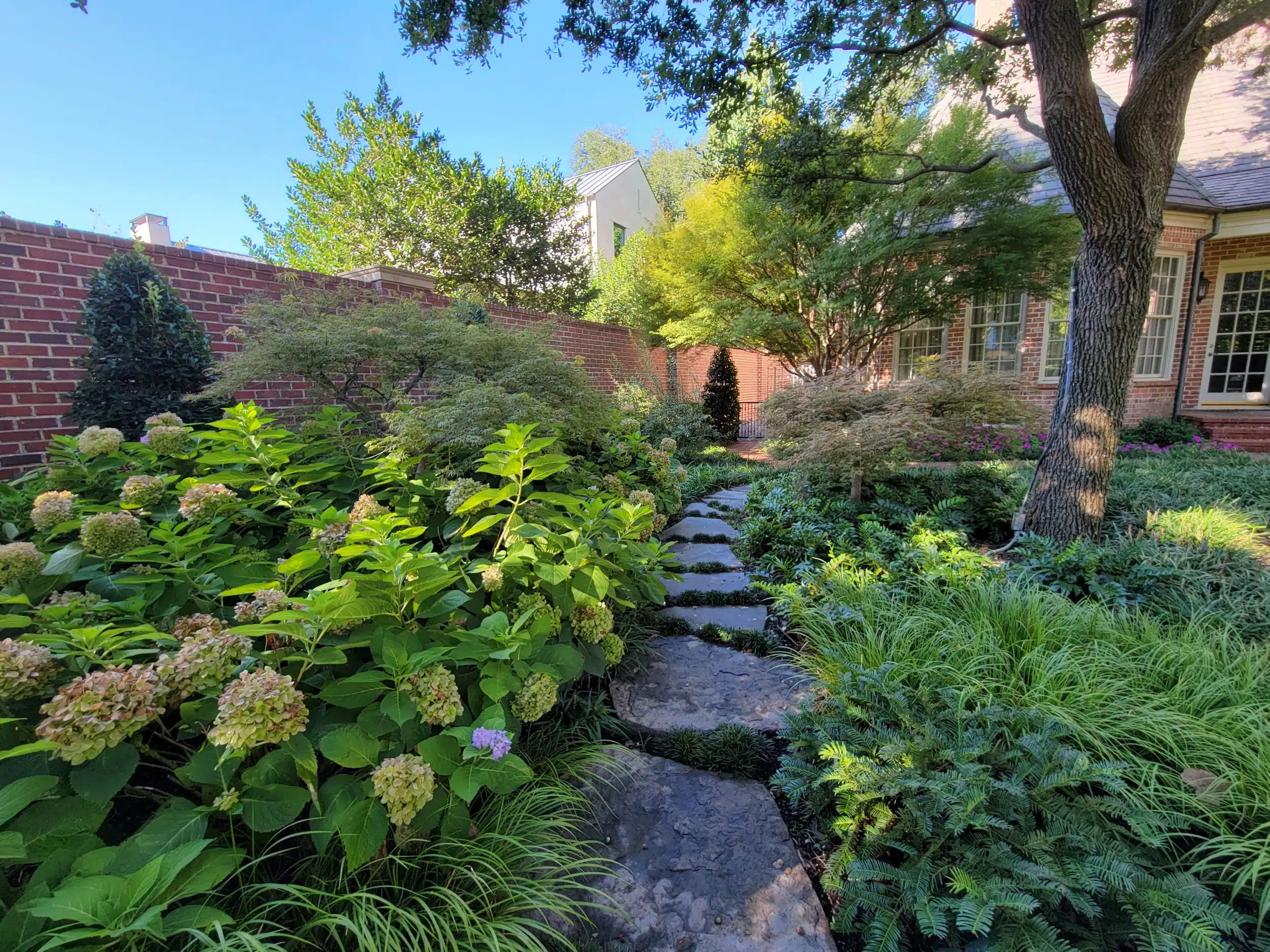 Landscape Design Mansfield TX